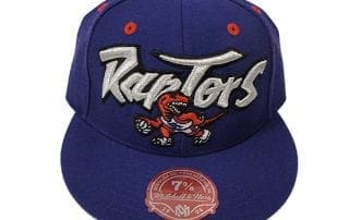Toronto Raptors itted Cap Mitchell and Ness NBA