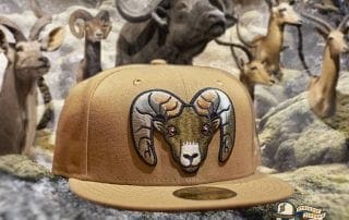 Bighorns Wheat Black 59Fifty Fitted Hat by Dionic x New Era