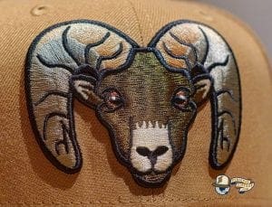 Bighorns Wheat Black 59Fifty Fitted Hat by Dionic x New Era Front