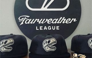 Relics Charcoal Black Fitted Hat by Fairweather League x Ebbets