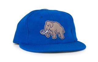 Mammoth Royal Fitted Hat by Fairweather League x Ebbets