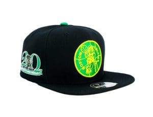 Boston Celtics Hardwood Classics 20th Anniversary Fitted Hat by NBA x Mitchell and Ness