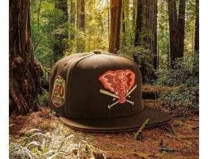 MLB Great Outdoors: Parks Pack 59Fifty Fitted Hat Collection by MLB x New Era Brown