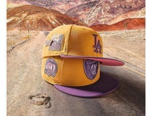 MLB Great Outdoors: Parks Pack 59Fifty Fitted Hat Collection by MLB x New Era Walnut