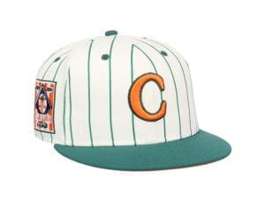 Carrots Arlington Heights Fitted Hat Collection by Carrots x Ebbets Front