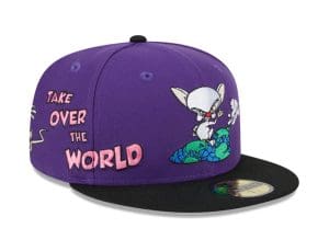 Animaniacs 2023 59Fifty Fitted Hat Collection by Animaniacs x New Era Right