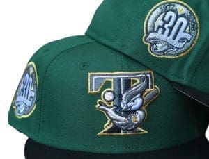 Toronto Blue Jays 30th Season Green Black 59Fifty Fitted Hat by MLB x New Era Front
