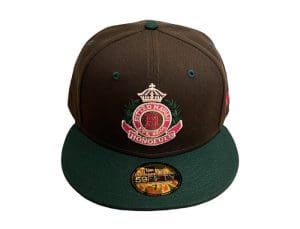 Scholar Burnt Wood Dark Green 59Fifty Fitted Hat by Fitted Hawaii x New Era Front