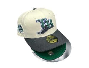Tampa Bay Rays Chrome Black 59Fifty Fitted Hat by MLB x New Era Front