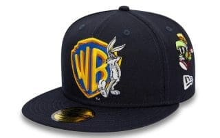 Warner Brothers Shield Navy 59Fifty Fitted Hat by Warner Bros x New Era