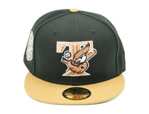 Toronto Blue Jays 30th Season Copper Canyon 59Fifty Fitted Hat by MLB x New Era Front