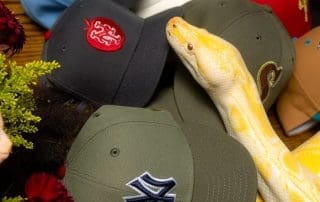 Hat Club Garden Of Eden 2 59Fifty Fitted Hat Collection by MLB x New Era