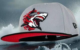 Great White North Grey Black 59Fifty Fitted Hat by Noble North x New Era