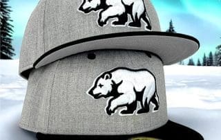 Bear Explorer Grey Heather Black 59Fifty Fitted Hat by Noble North x New Era