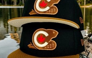Canadian Beaver Black Brown 59Fifty Fitted Hat by Noble North x New Era