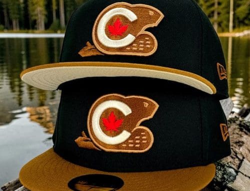 Canadian Beaver Black Brown 59Fifty Fitted Hat by Noble North x New Era