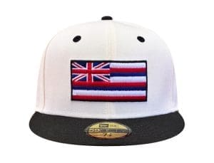 Slapswind Grown Chrome Black 59Fifty Fitted Hat by Fitted Hawaii x New Era